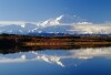 Mt. McKinley -  Denali National Park, Alaska