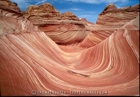 "The Wave" Coyote Buttes, Arizona - 1999