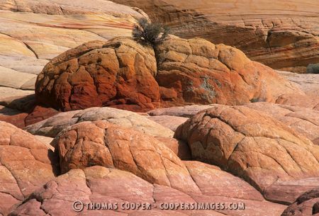 Hamburger Rock - Coyote Buttes\nNorthern Arizona