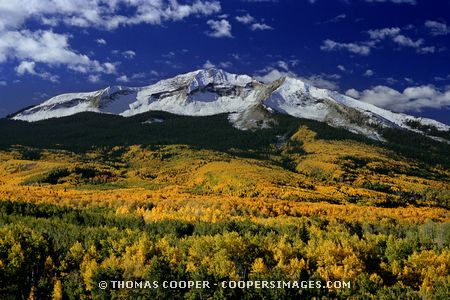 Colorado Fall Color, Crested Butte, Colorado