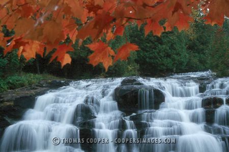 Fall Color - 1995