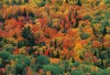 Fall Color - Copper Harbor, Michigan