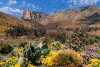 Guadalupe Mountains National Park, TX