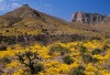 Guadalupe Mountains National Park, TX