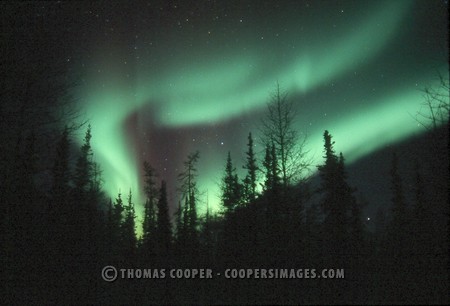 Northern Lights - 2002