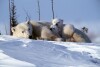 Polar Bears - 2002