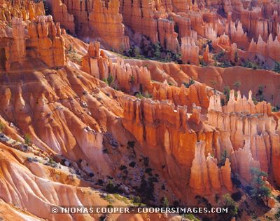 Bryce Ampitheater, Utah - 2000