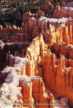 Bryce Amphitheater\nBryce Canyon National Park, Utah